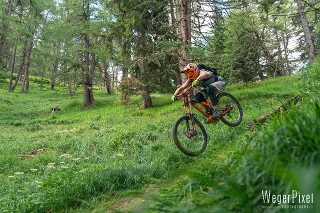 Mountainbiker fährt auf einem Trail durch grünen Lärchenwald in Osttirol